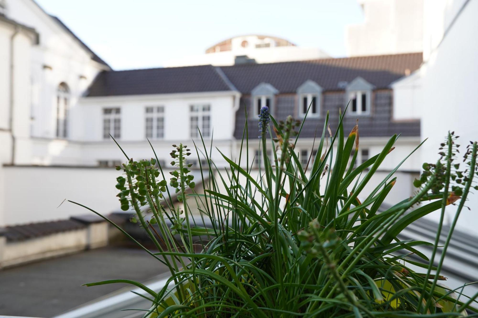 Bright, Spacious Apartment With A Lovely Terrace In The Heart Of Akwizgran Zewnętrze zdjęcie